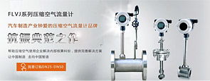 渦街流量計雜志