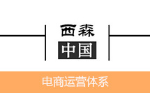 [西森·中國(guó)] 努力打造一支健康運(yùn)營(yíng)電商團(tuán)隊(duì)