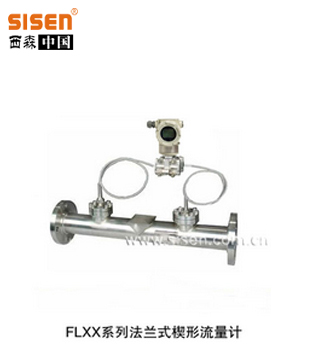 FLXX系列 楔形流量計