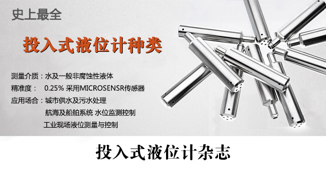 投入式液位計(jì) 電子雜志