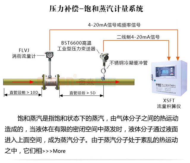 壓力補(bǔ)償蒸汽質(zhì)量計(jì)量系統(tǒng)