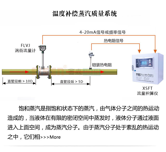 溫度補(bǔ)償蒸汽質(zhì)量計(jì)量系統(tǒng)
