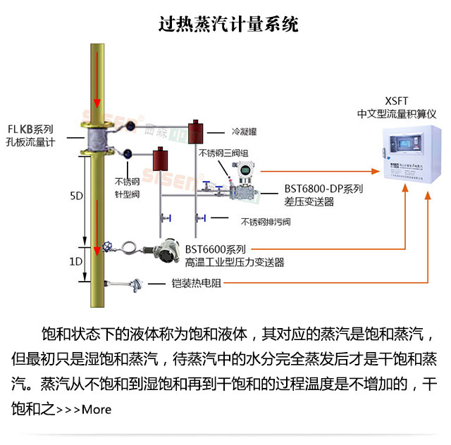 過熱蒸汽計(jì)量系統(tǒng)