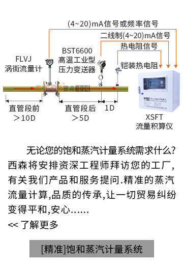 【精準(zhǔn)】飽和蒸汽計量系統(tǒng)