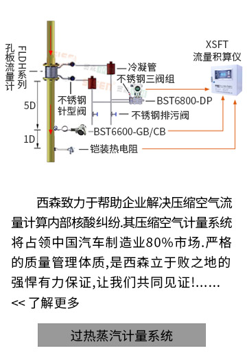 過熱蒸汽計量系統(tǒng)