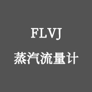 FLVJ 蒸汽流量計(jì)