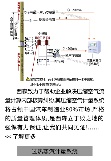 過(guò)熱蒸汽計(jì)量系統(tǒng)