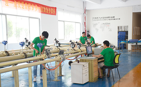 西森-渦街流量計(jì)制造廠家